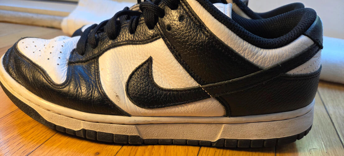 Nike Panda Side Before